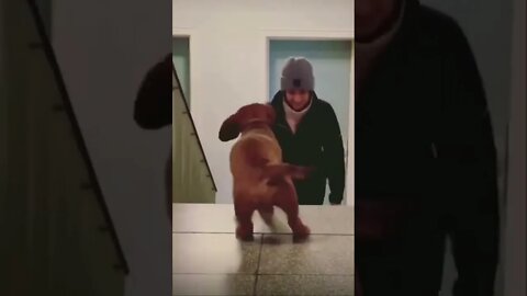 How cute!😂😍 please get this viral | #shorts | #viral | #subscribe