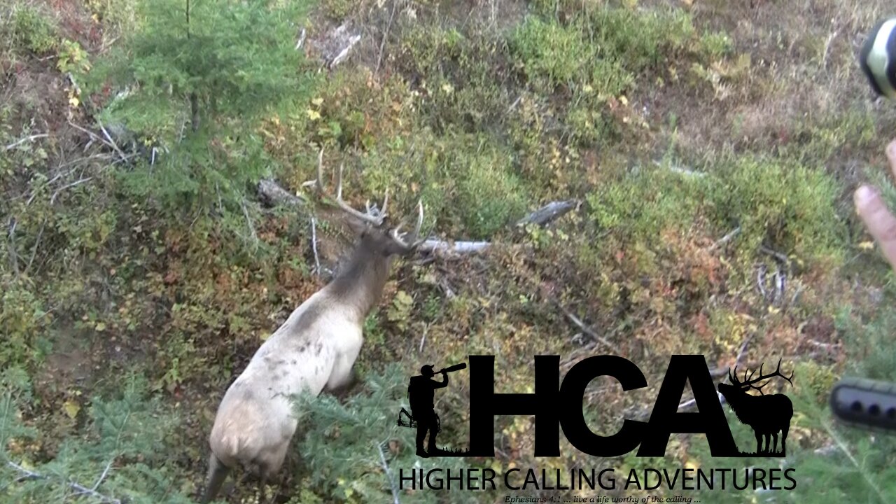 2012 Idaho Elk Bow Hunt | Elk Whitetail Deer Bear Turkey Bow Archery Hunting Hunt