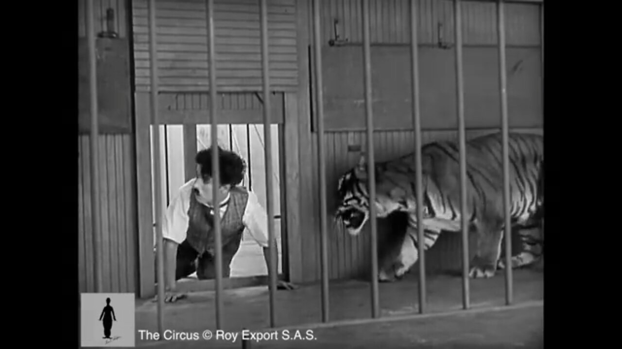 Charlie Chaplin - The Lion Cage - Full Scene (The Circus, 1928)