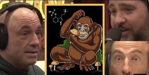 JRE: Is the Stoned Ape Theory Real?