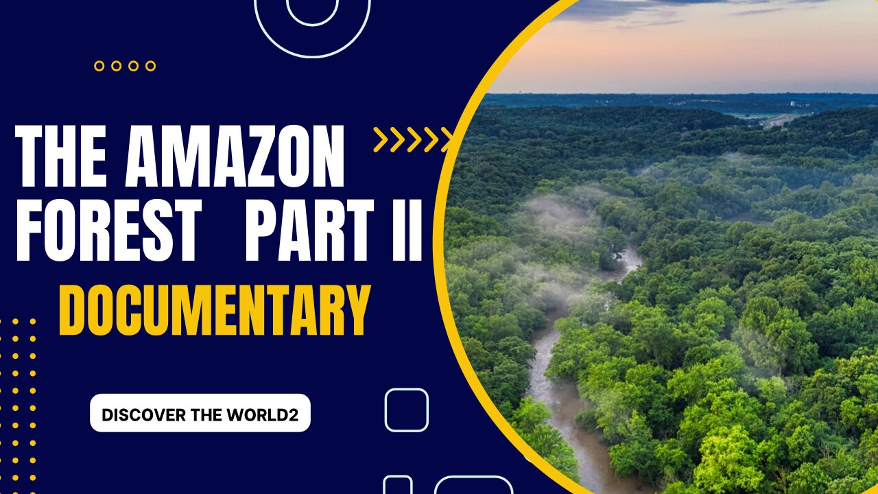 The Amazon Forest part 2.