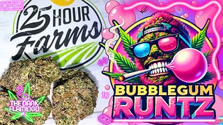 Trying Bubblegum Runtz THCa from 25 Hour Farms! The Dank Flamingo Cannabis Review!!