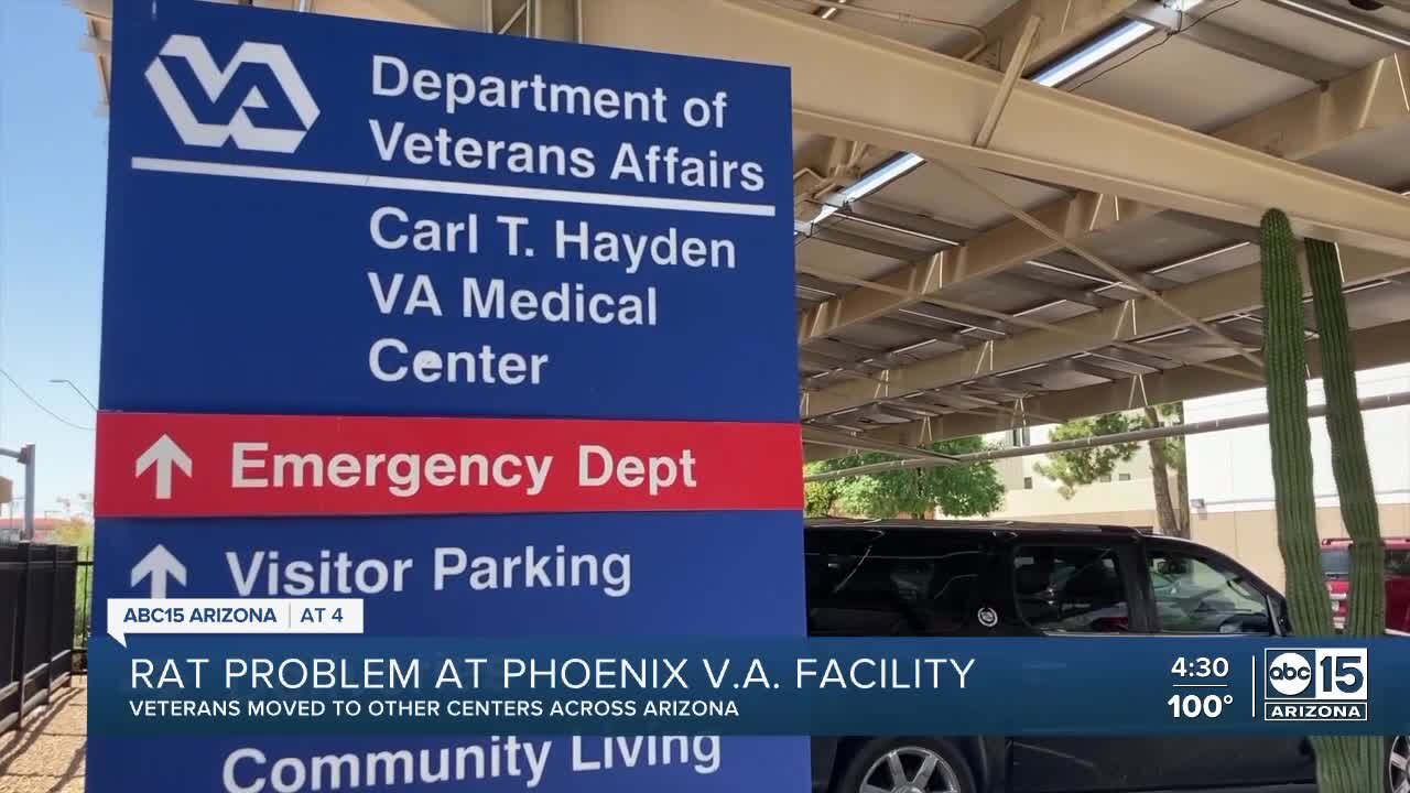 Rat problem at Phoenix VA facility