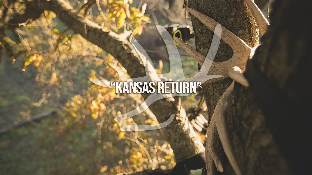 WIDE Buck at Last Light in Kansas - "Kansas Return"