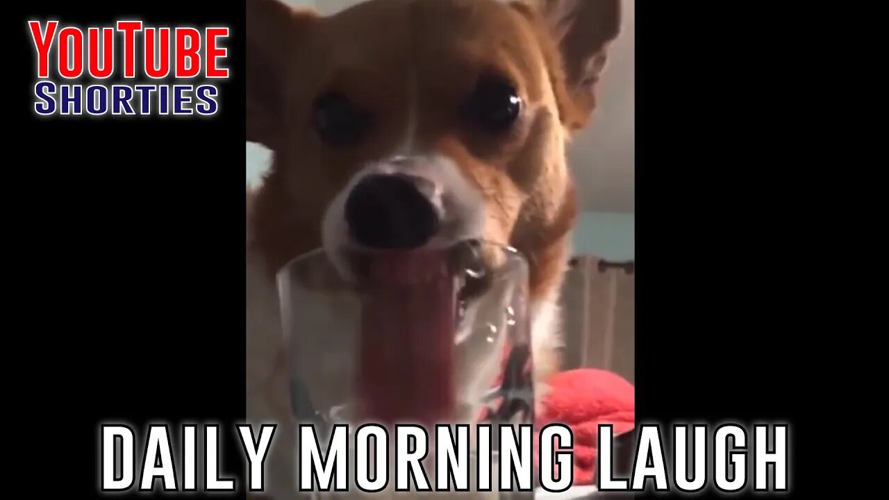 Funny Morning Laugh - 30 Seconds to Start Your Day Right #shorts