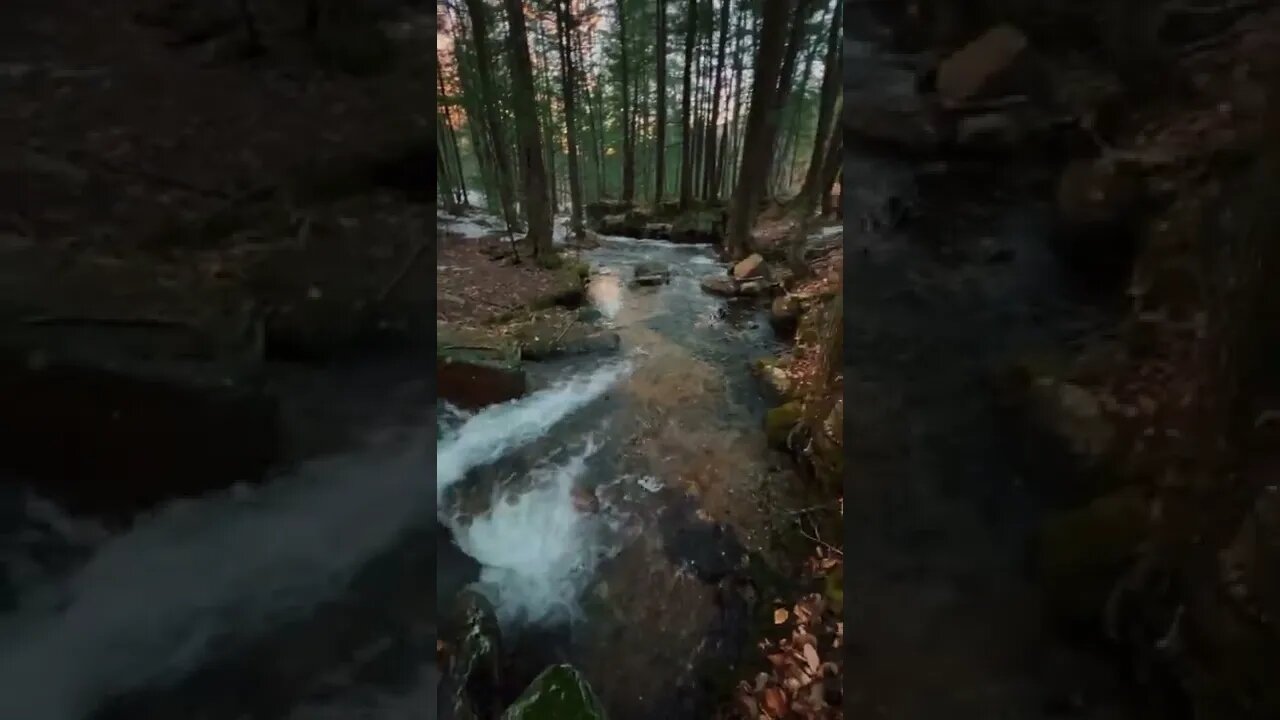 nature#mountain#wild#shorts