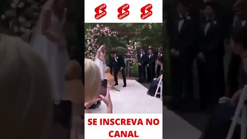 Cachorro no Casamento #shorts