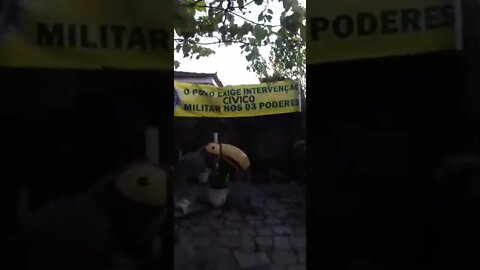 Gato Patriota🇧🇷sem políticos veio na minha casa😅