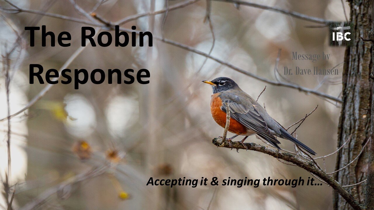 The Robin Response