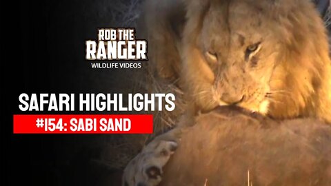 Safari Highlights #154: 01 - 03 August 2012 | Sabi Sand Nature Reserve | Latest Wildlife Sightings