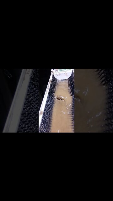 Martin Prospecting "Gutter" clean up sluice