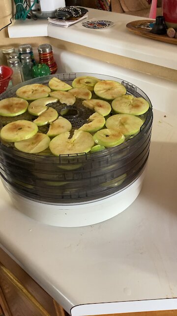 Dehydrating apples