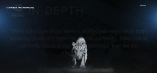 Magician alters plans for tigers in Las Vegas show proposal