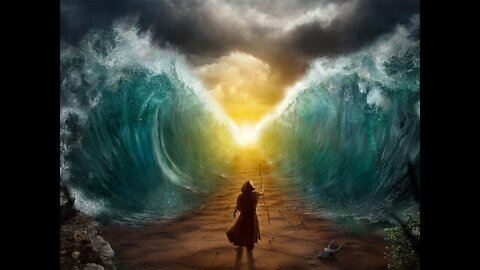 Moses&The Wealth Transfer