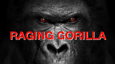 Raging Gorilla Intro