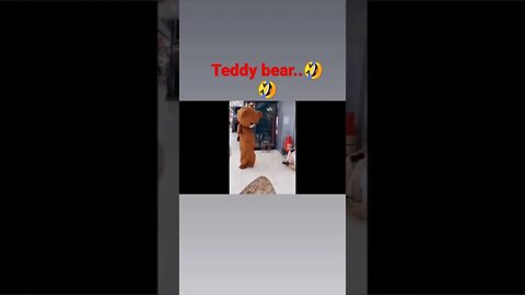 teddy bear funny moment.