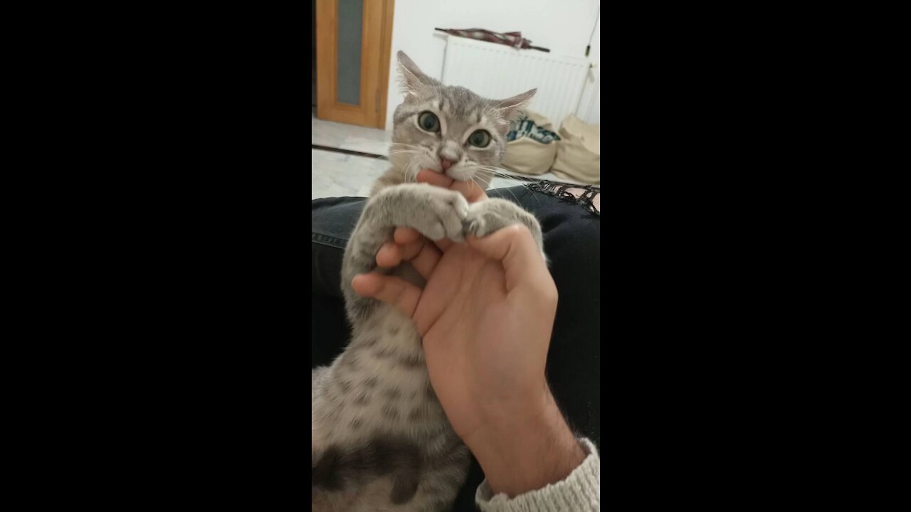 He is trying to eat my hand 🧤😂