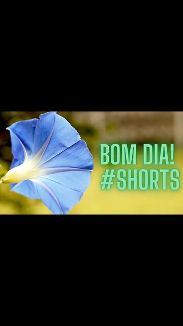 BOM DIA! AGRADA-TE DO SENHOR.#shorts