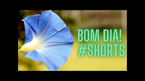 BOM DIA! AGRADA-TE DO SENHOR.#shorts