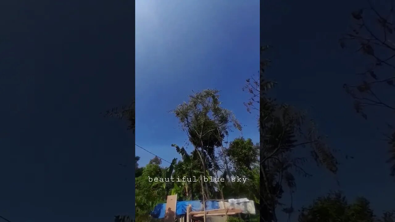 beautiful blue sky #sky #bluesky #shorts
