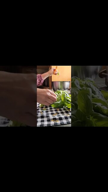 Dehydrating Basil