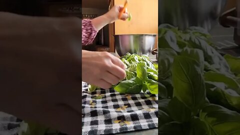 Dehydrating Basil