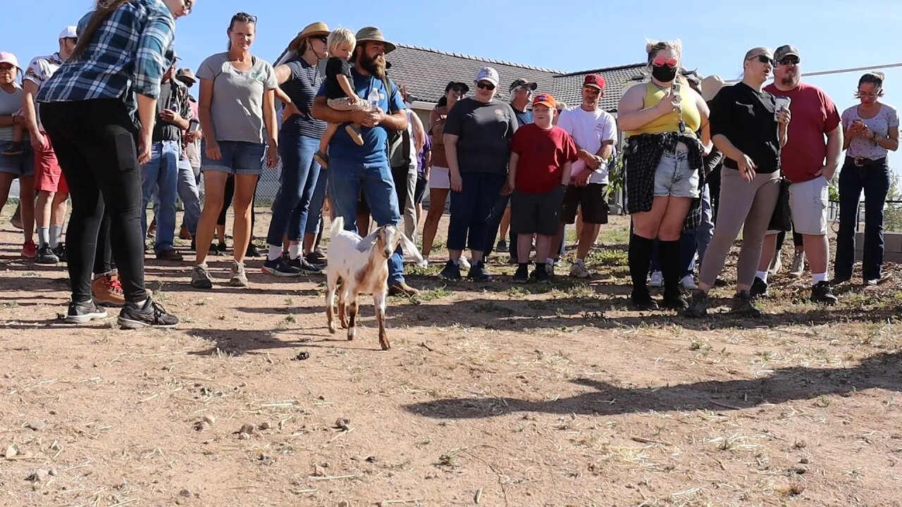 Touring the Farm | Rosie Steals the Show