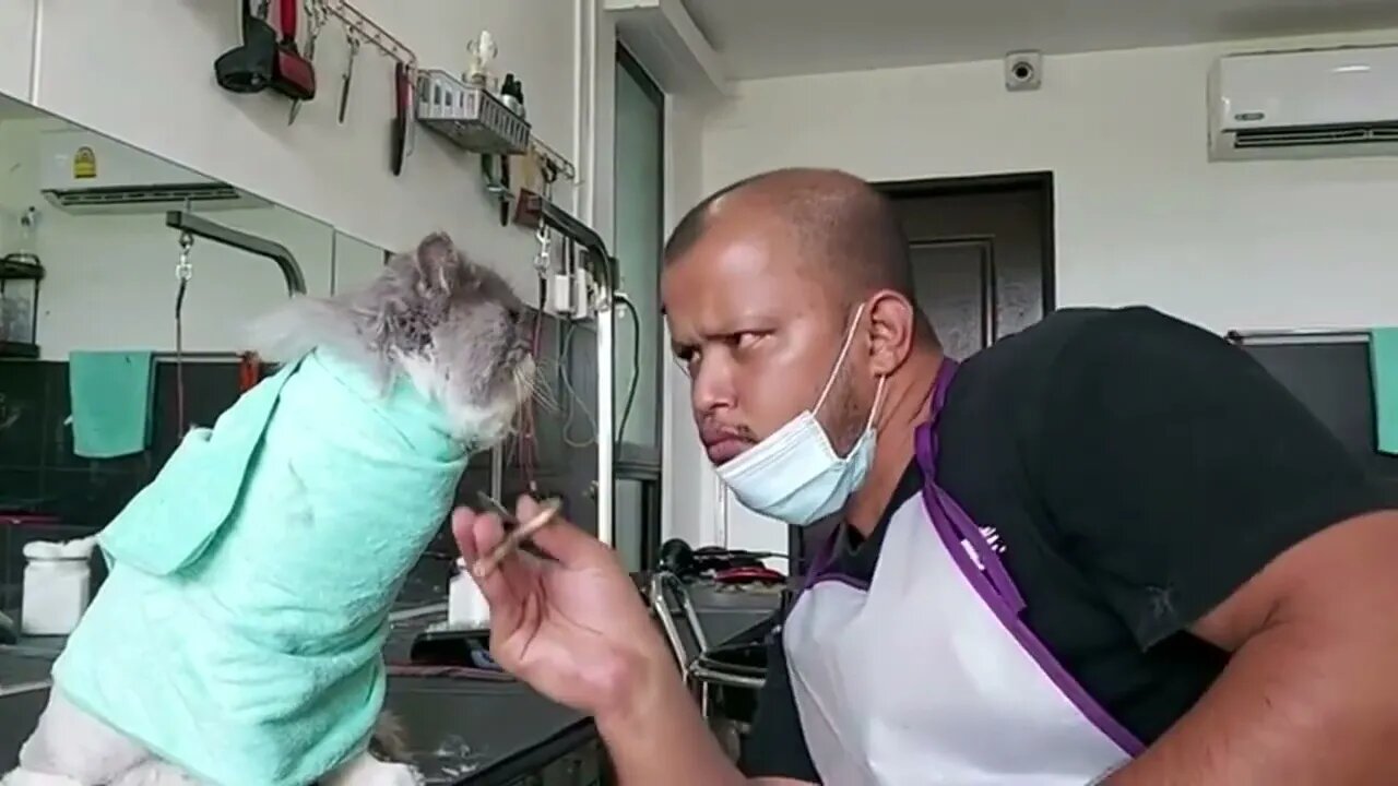 Just a Little Trim