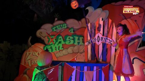 ZooTampa's Creature of the Night | Morning Blend