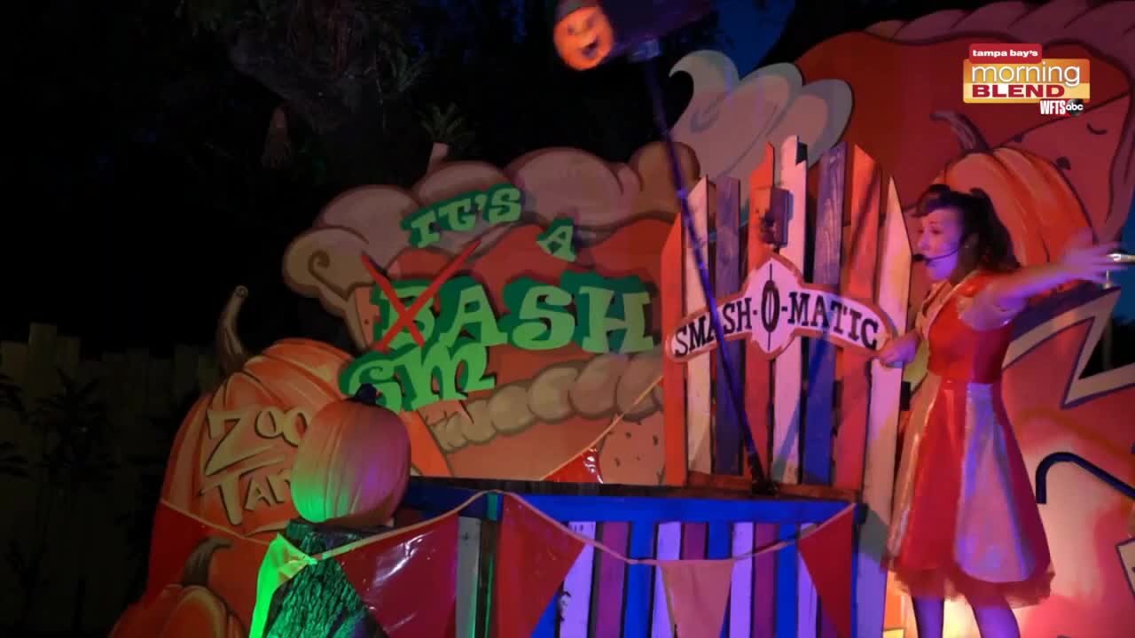 ZooTampa's Creature of the Night | Morning Blend