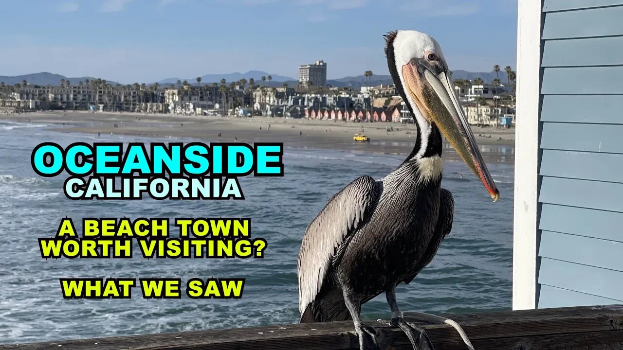 OCEANSIDE: A California Beach Town Worth Visiting? What We Saw.