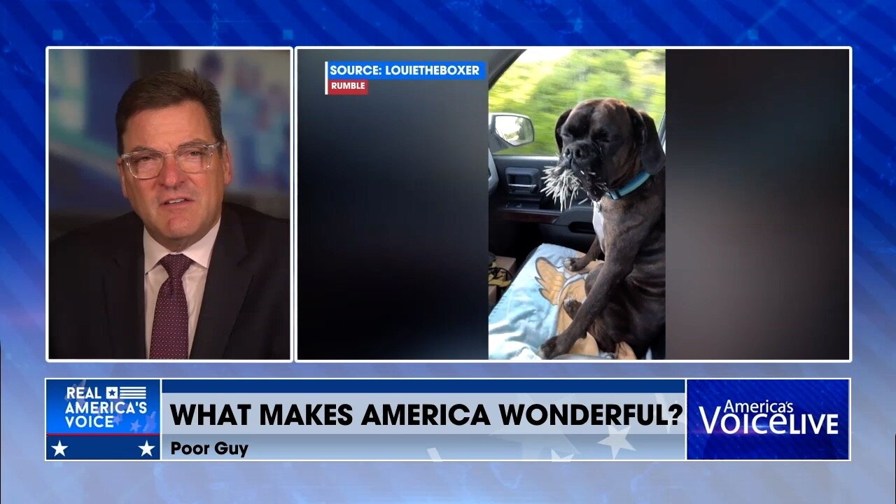 What Makes America Wonderful? A Patient and Loving Pet Owner