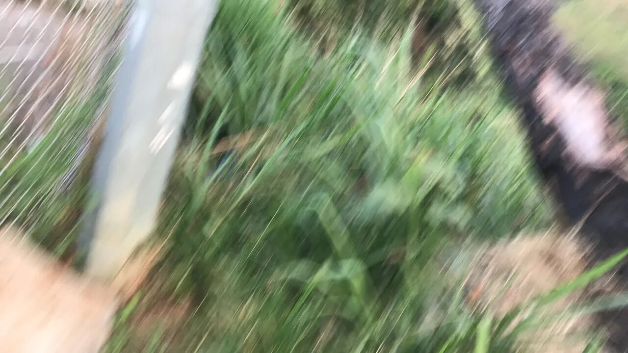 Operativo en Piedecuesta