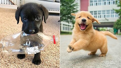 OMG Sooooo cuuute!
