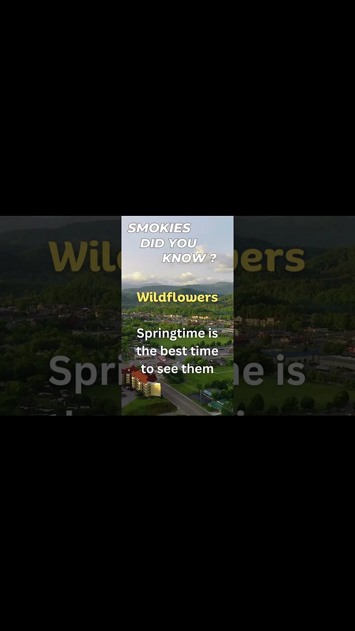Wildflowers in the Smokies - Did you know? #smokies