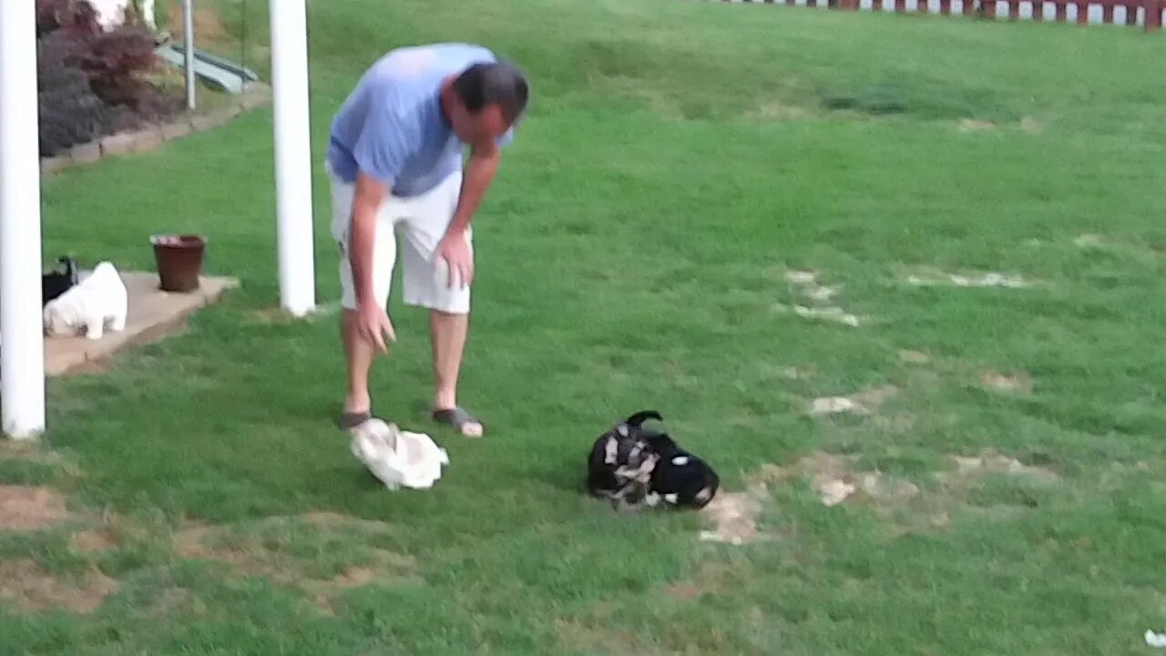 I Litter Outside Again