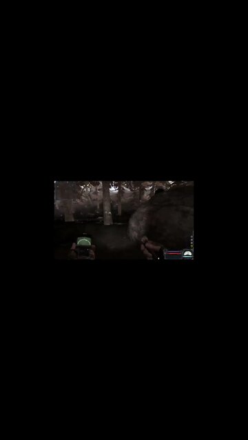 #Shorts Проблема с Артом #status #Stalker #STALKER