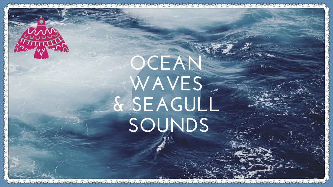 Soothing OCEAN WAVES & SEAGULLS Sleep Sounds🌊 Sea Gull Sounds, Sounds of The Ocean⛵ 1 Hour