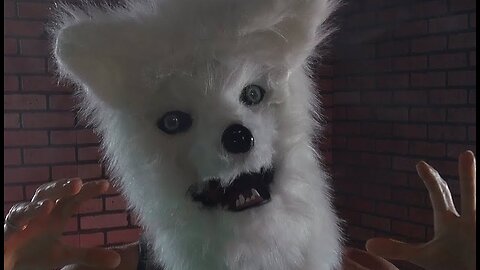 Husky Pranked By Wolf Mask