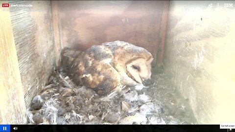 Syd feeds her precious baby her first meal at 12:44 pm. 2-29-20