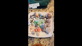 Mazatlán beach haul