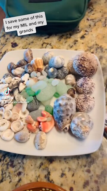 Mazatlán beach haul