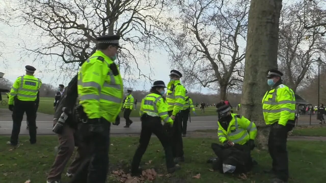 The people’s lockdown - speakers corner london Multiple Arrest