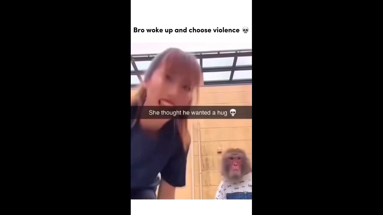 funny videos 😂😂