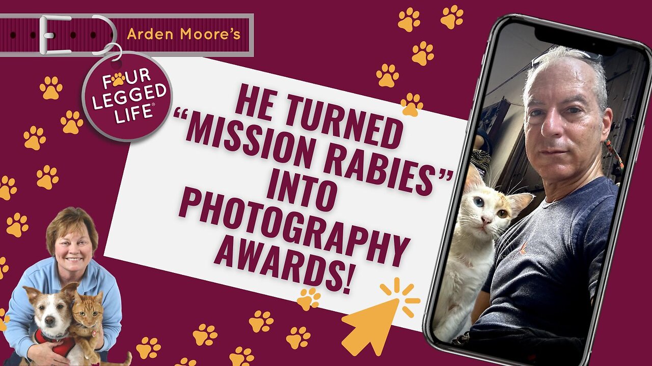 From Mission Rabies to Photography Awards! Meet Dr. Arnold Plotnick