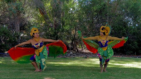 Indonesian Peacock Dance Seledang Sutera Harmony Festival Australia