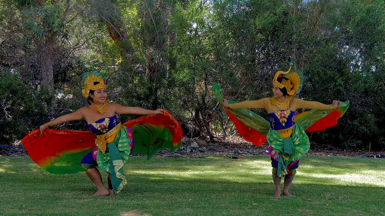 Indonesian Peacock Dance Seledang Sutera Harmony Festival Australia