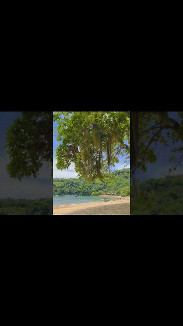 Optimal Relaxing Sound & Videos | Beach | #shorts