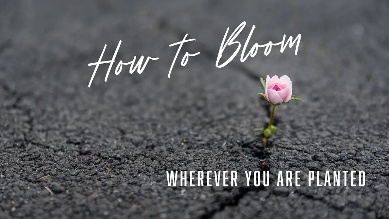 How to Bloom Wherever You Are Planted | Mark Hoffman | Message Only