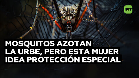 El ingenioso traje de una mujer para protegerse de los mosquitos en la calle